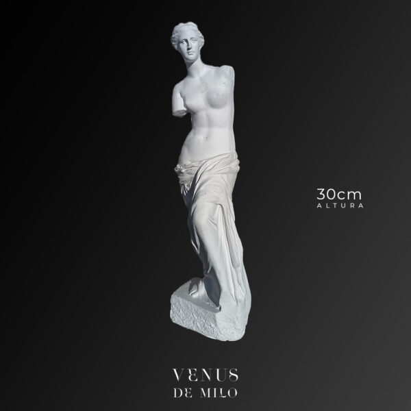 Venus de Milo - belleza y elegancia 30cm