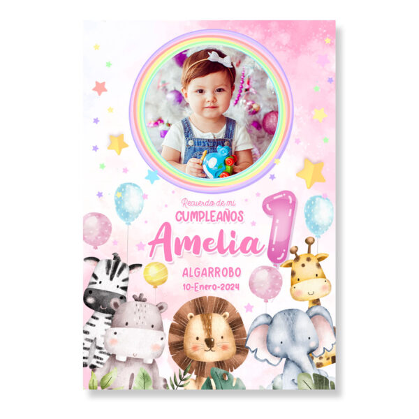 18 Recuerdos de Cumpleaños Imanes - Animalitos